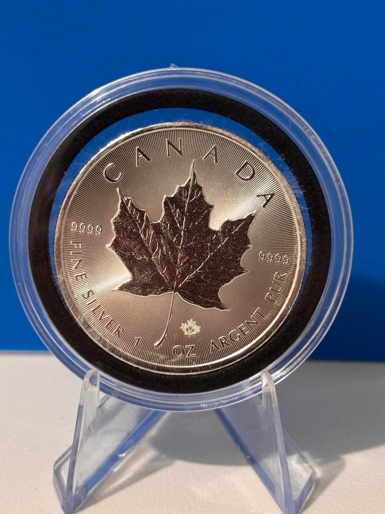 2021 Maple Leaf 999 Zilver, Enlèvement, Argent