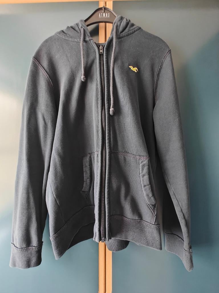 Sweater met rits - Hollister - medium, Ophalen of Verzenden, Gedragen, Hollister, Maat 48/50 (M)