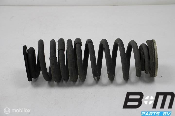 Schroefveer achter Opel Insignia 2018 8419855, Utilisé
