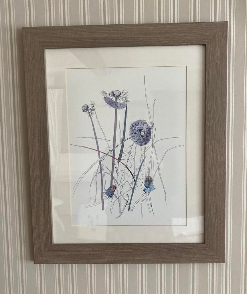 Twee kaders IKEA met natuurtekening, Huis en Inrichting, Woonaccessoires | Lijsten, Ophalen, Gebruikt, 50 tot 75 cm, Minder dan 50 cm
