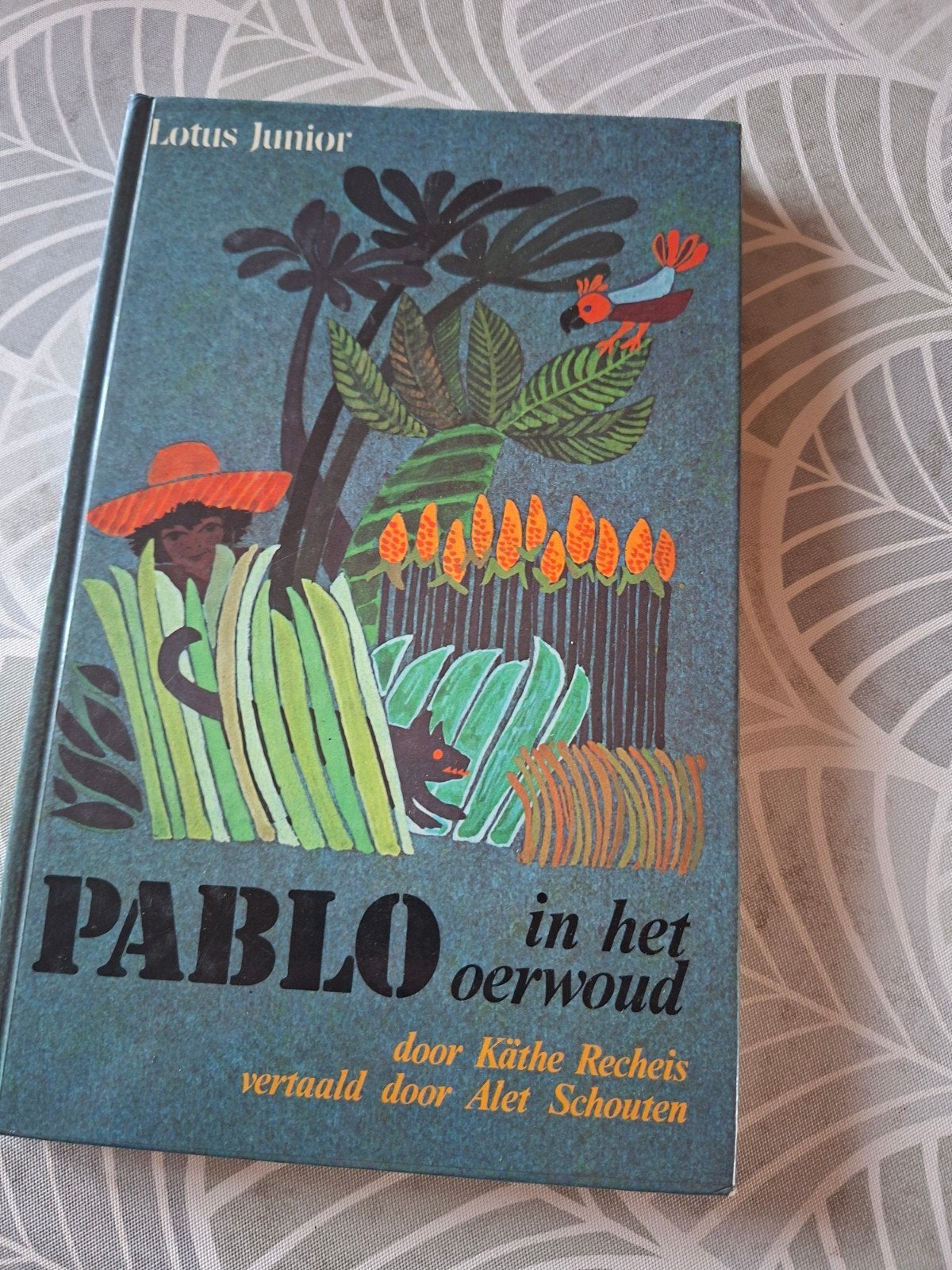 Pablo in het oerwoud, Livres, Science-fiction, Enlèvement, Comme neuf, Käthe recheis