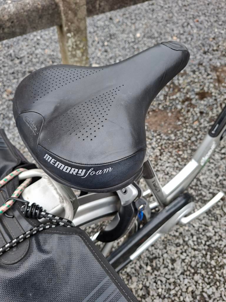 Elektrische fietsen giant 2stuks  s&l, Ophalen