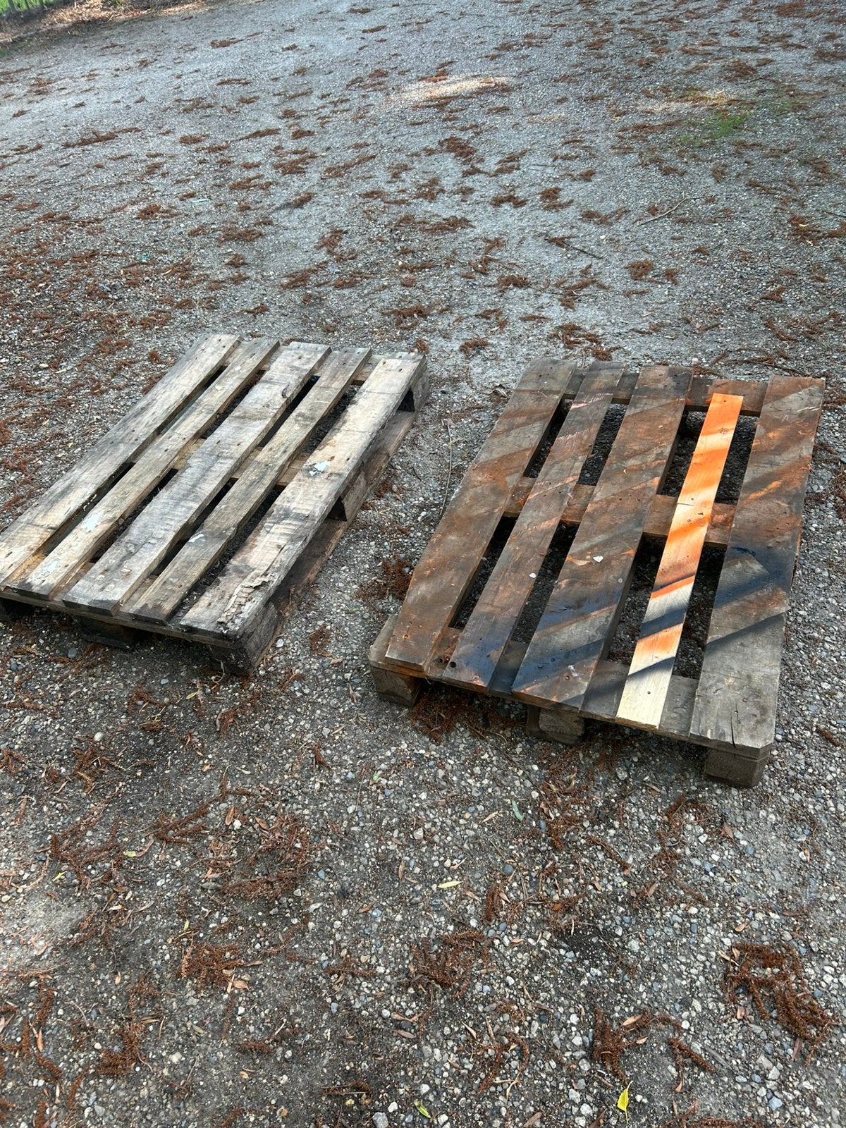 2 palleten Gratis optehalen, Enlèvement, Comme neuf, Palette