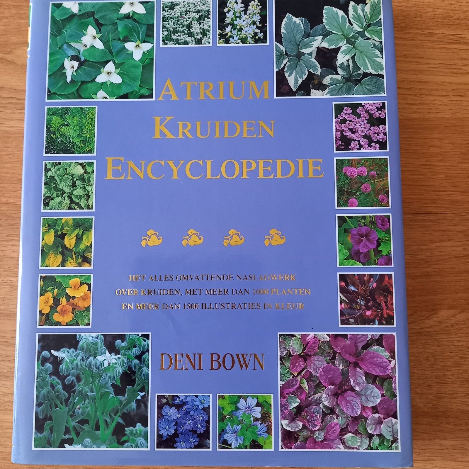ATRIUM KRUIDENENCYCLOPEDIE, Livres, Maison & Jardinage, Enlèvement ou Envoi