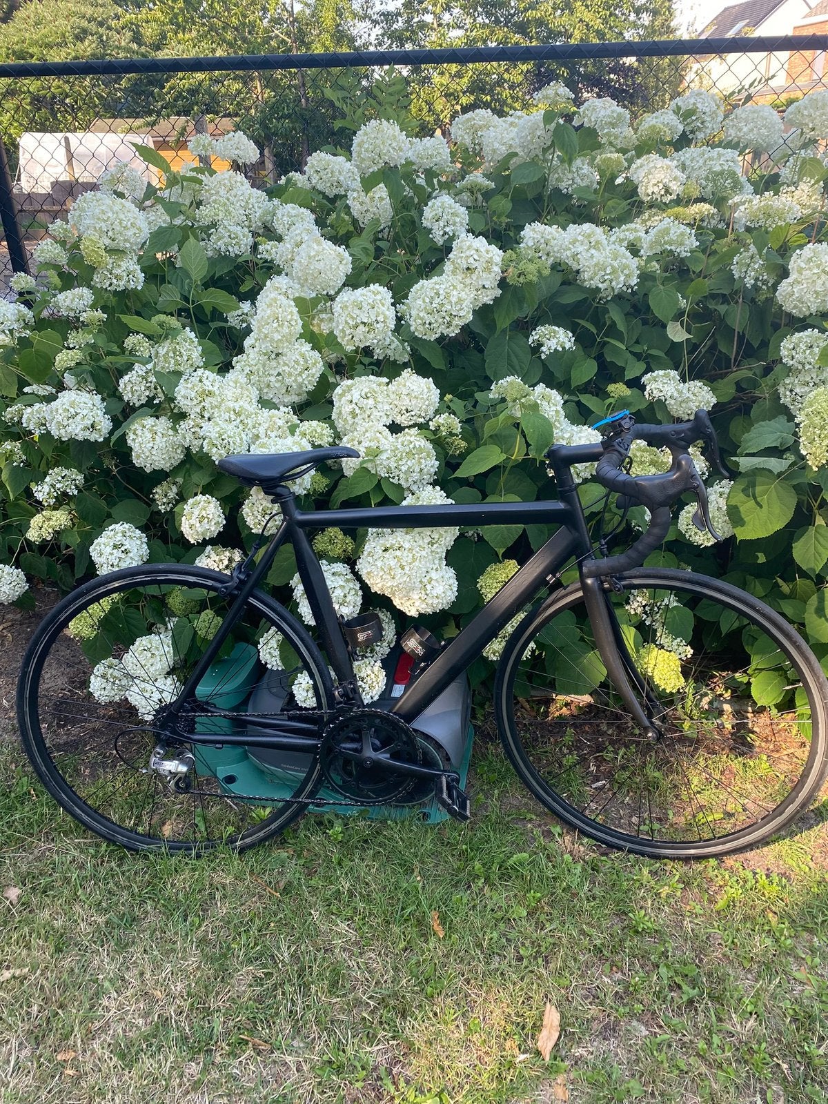 Zwarte u.scanini koersfiets, Ophalen, Zo goed als nieuw