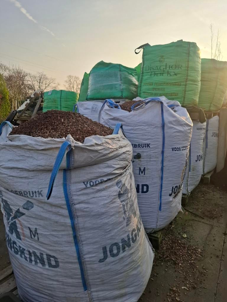 Argex hydrokorrel, Ophalen