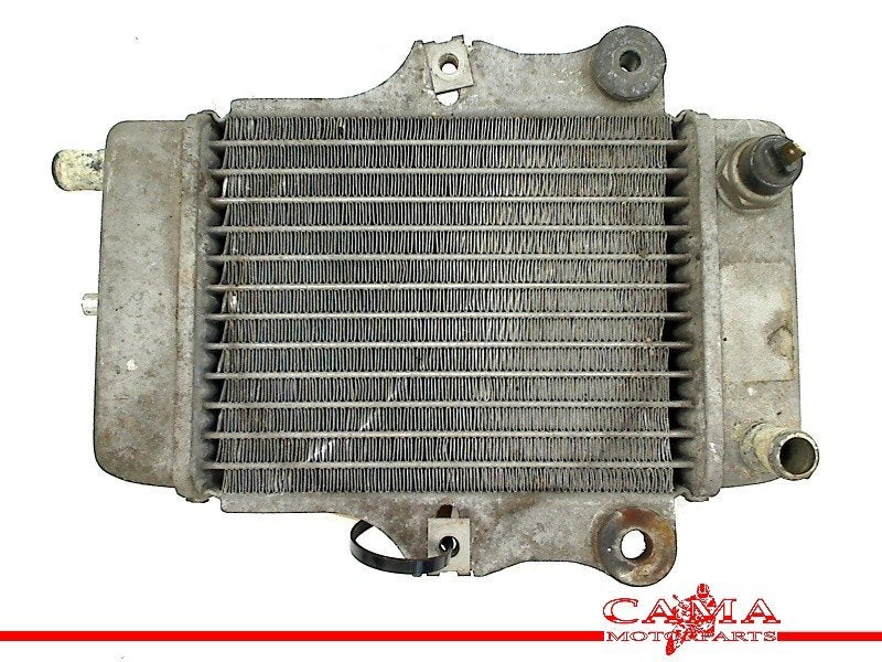 RADIATEUR Honda SES 150 Dylan (SES150) (01-1970/-) (614030), Motoren, Dhr. S. di Majo, Gebruikt, Info@cama-motorparts.nl, P.J. Troelstraweg 8 8
3144 CX  MAASSLUIS, NL