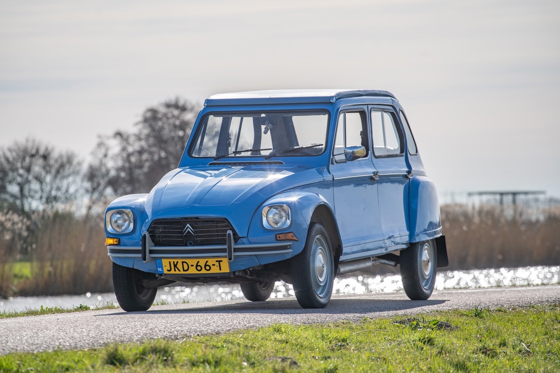 Citroen Dyane 6 Confort, 4 deurs, 602 cc, Citroën, Blauw