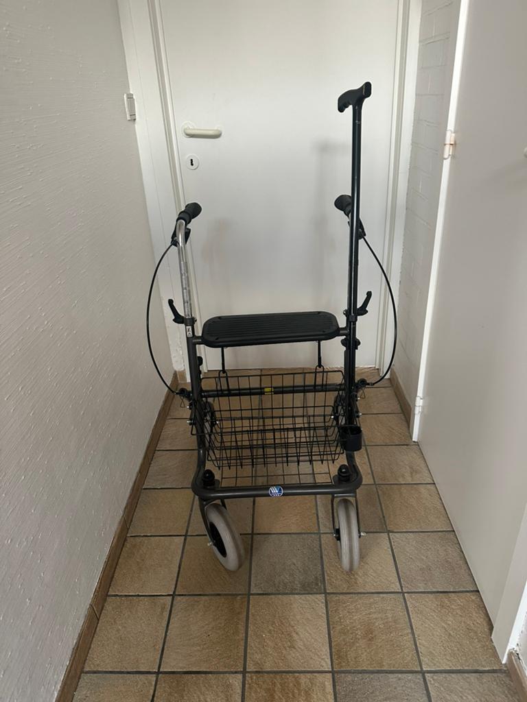 Rollater met wandelstok, Ophalen, Zo goed als nieuw