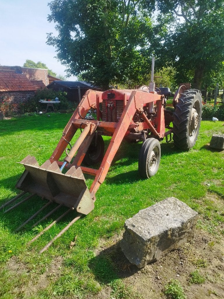 Massey Ferguson 65 Mark 1 hoge klaring, Zakelijke goederen, Ophalen, Oldtimer, Tot 80 Pk, Massey Ferguson