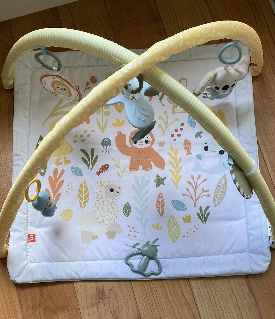 baby speelmat van Fisher Price, Kinderen en Baby's, Ophalen of Verzenden, Zo goed als nieuw