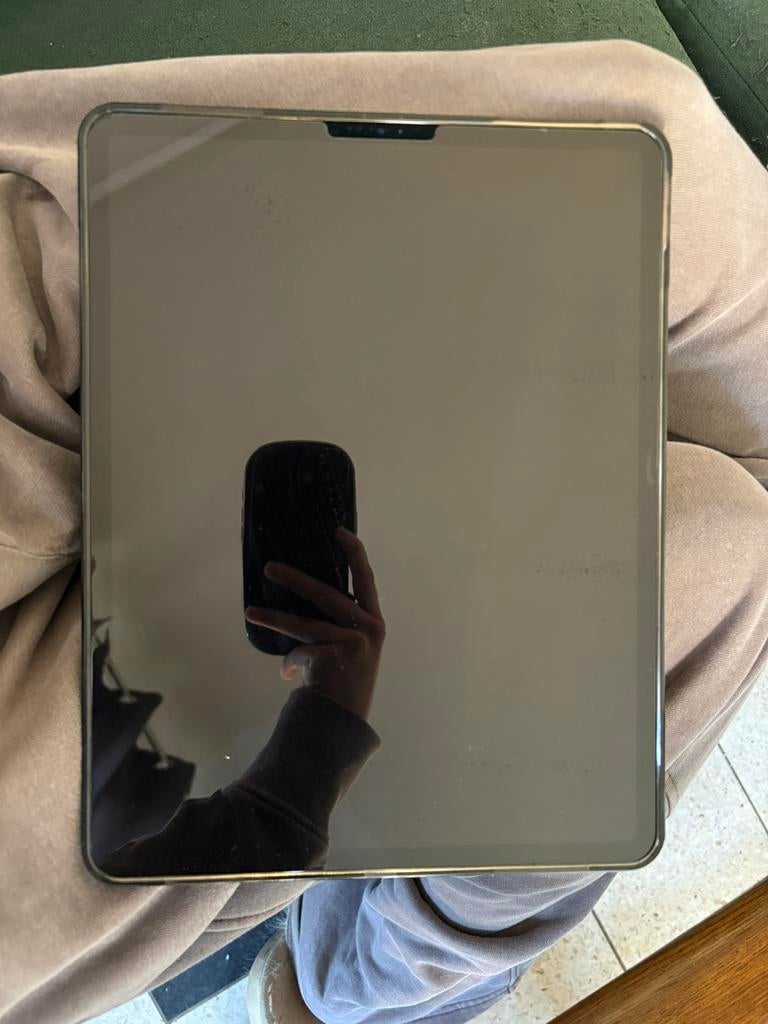 iPad Pro 12.9 (3eme génération), Informatique & Logiciels, Apple iPad Tablettes, Gris, 12 pouces, Enlèvement, Utilisé