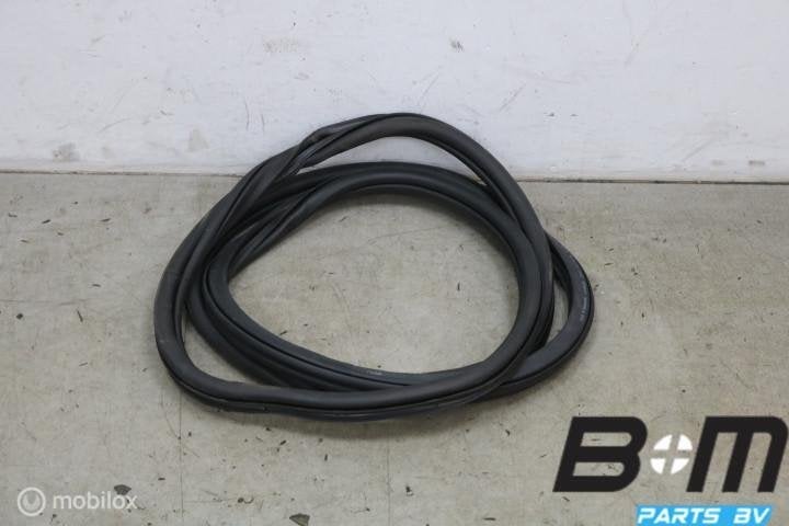 Portierrubber rechtsvoor VW E-Golf 7 5GE867912B, Gebruikt