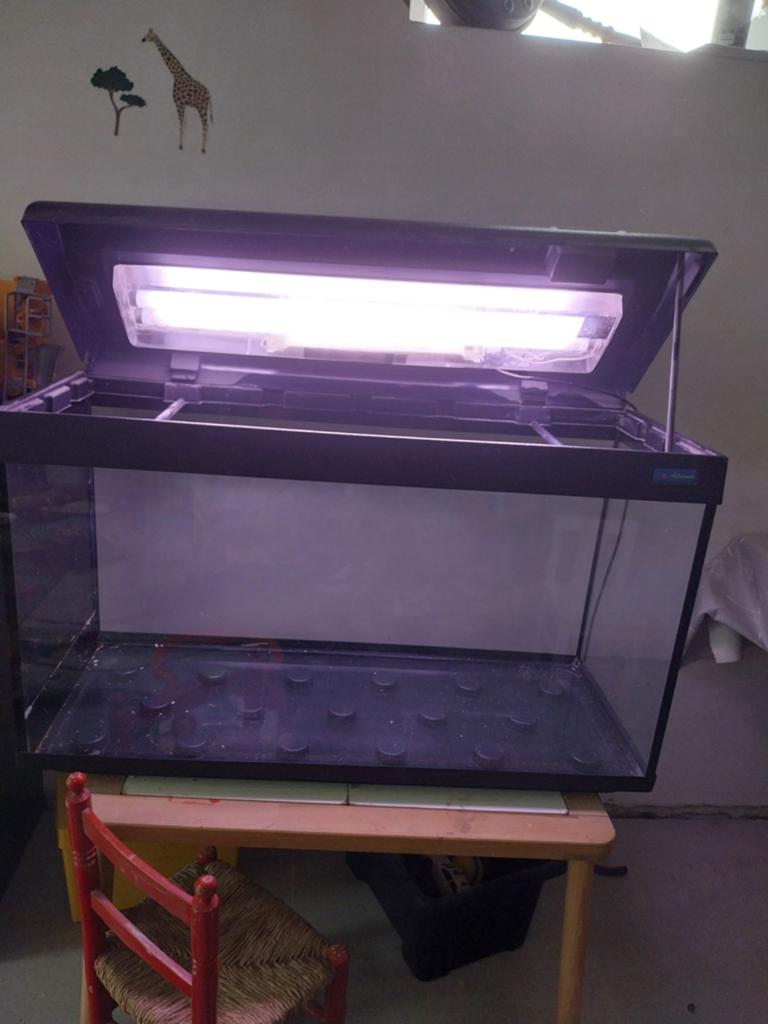 Aquarium te koop, Enlèvement