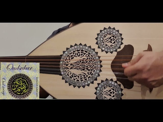 Cordes oud strings, Musique & Instruments