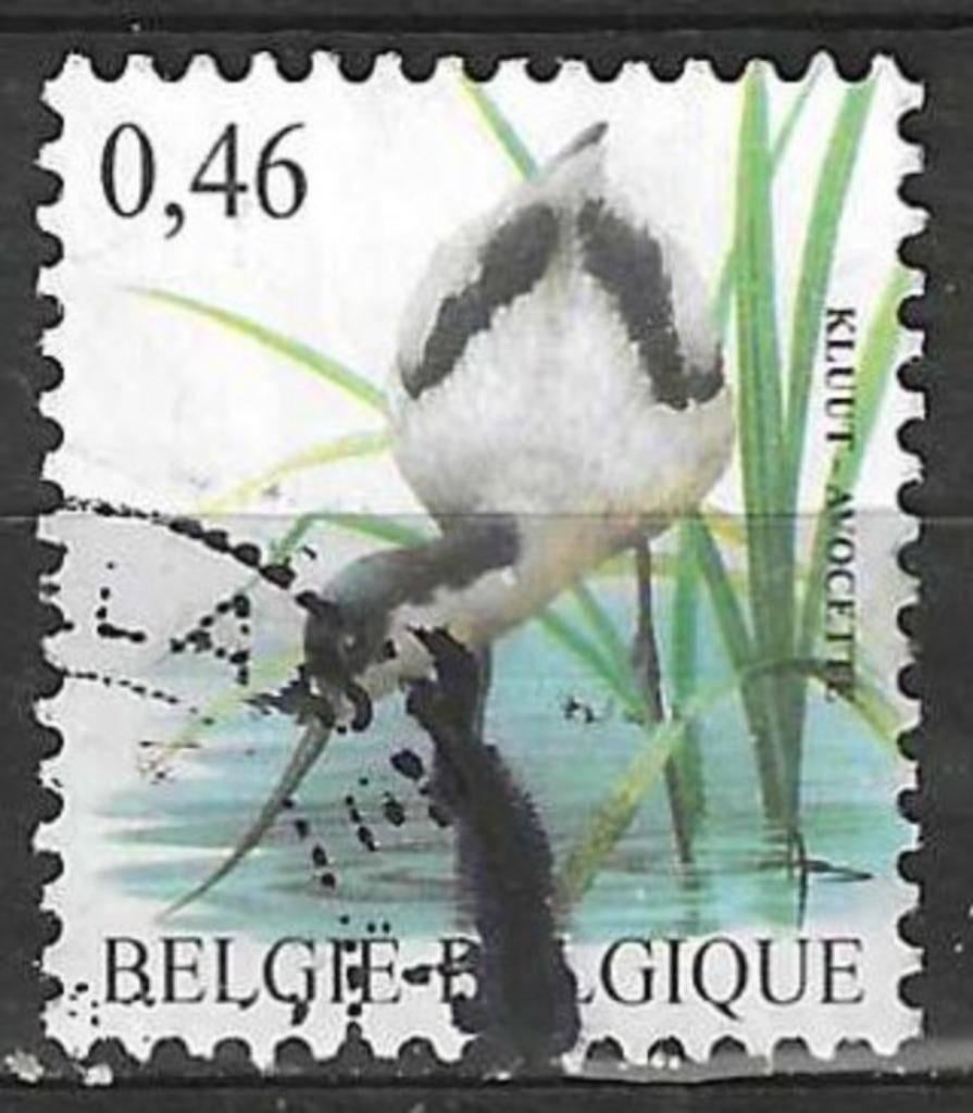 Belgie 2006 - Yvert 3464 /OBP 3479 - Buzin - Kluut (ST), Postzegels en Munten, Verzenden, Gestempeld, Gestempeld, Voertuigen