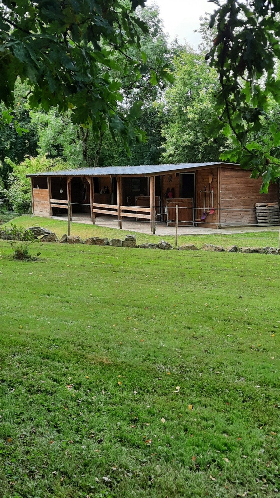 pension cheval boxe prairie sur 4845 Sart Lez Spa- Polleur