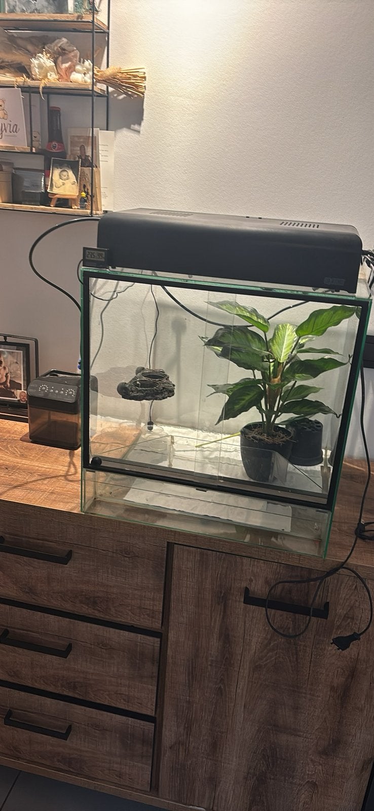 Terrarium 50x50x50 exo terra toebehoren twv 400€, Ophalen, Gebruikt