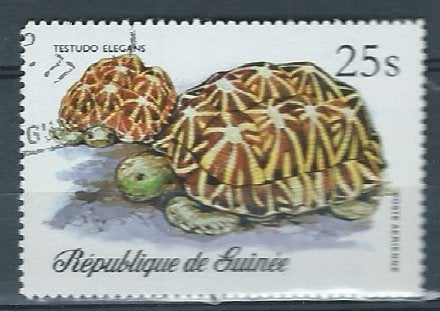 GUINEA, Postzegels en Munten, Postzegels | Afrika, Verzenden, Guinee, Gestempeld