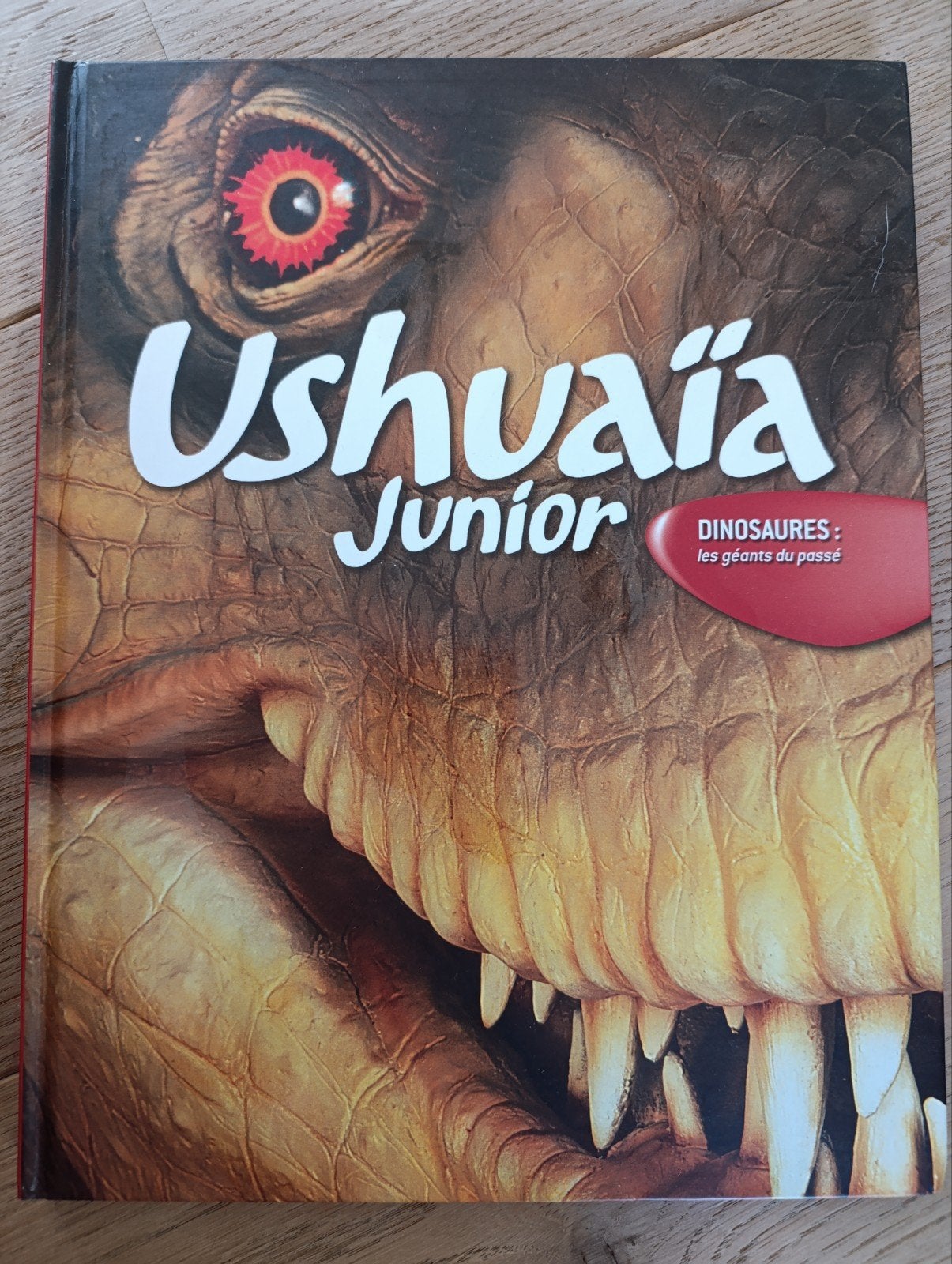 Lot de 3 livres, Boeken, Kinderboeken | Jeugd | 10 tot 12 jaar