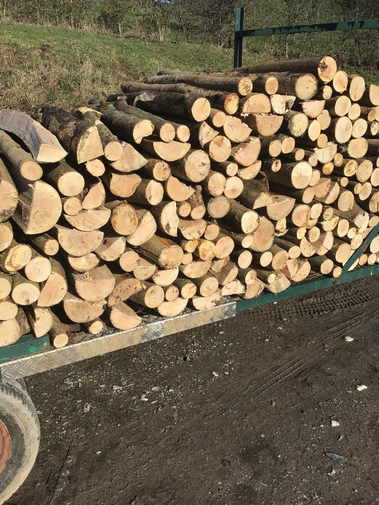 Bois de chauffage, Enlèvement, Bûches