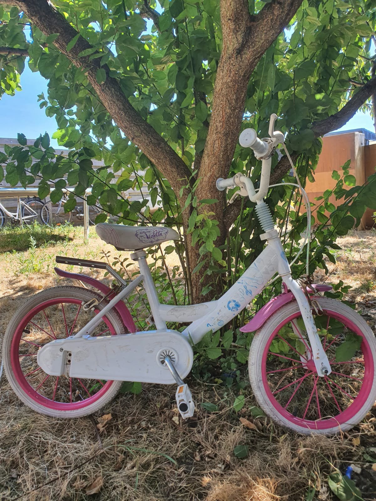 Meisjes kinder fiets met zijwieltjes, Ophalen, Gebruikt, Handrem, Schijfrem