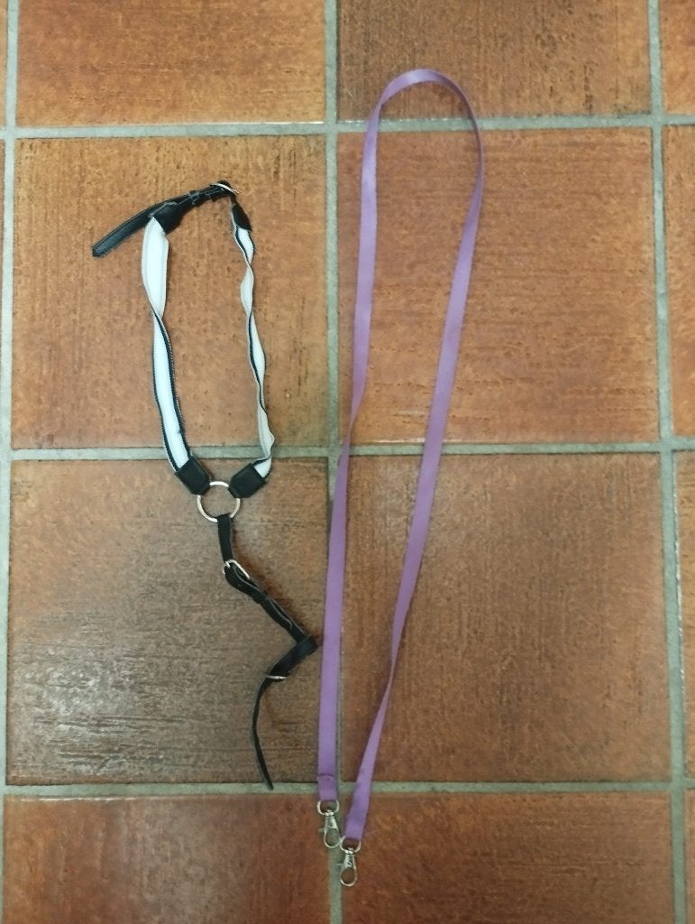Set voor hobby horse, Ophalen, Gebruikt