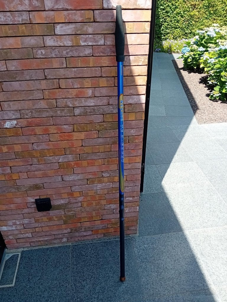 Bolognaise Shimano 6m., Watersport en Boten, Ophalen, Zo goed als nieuw, Werphengel