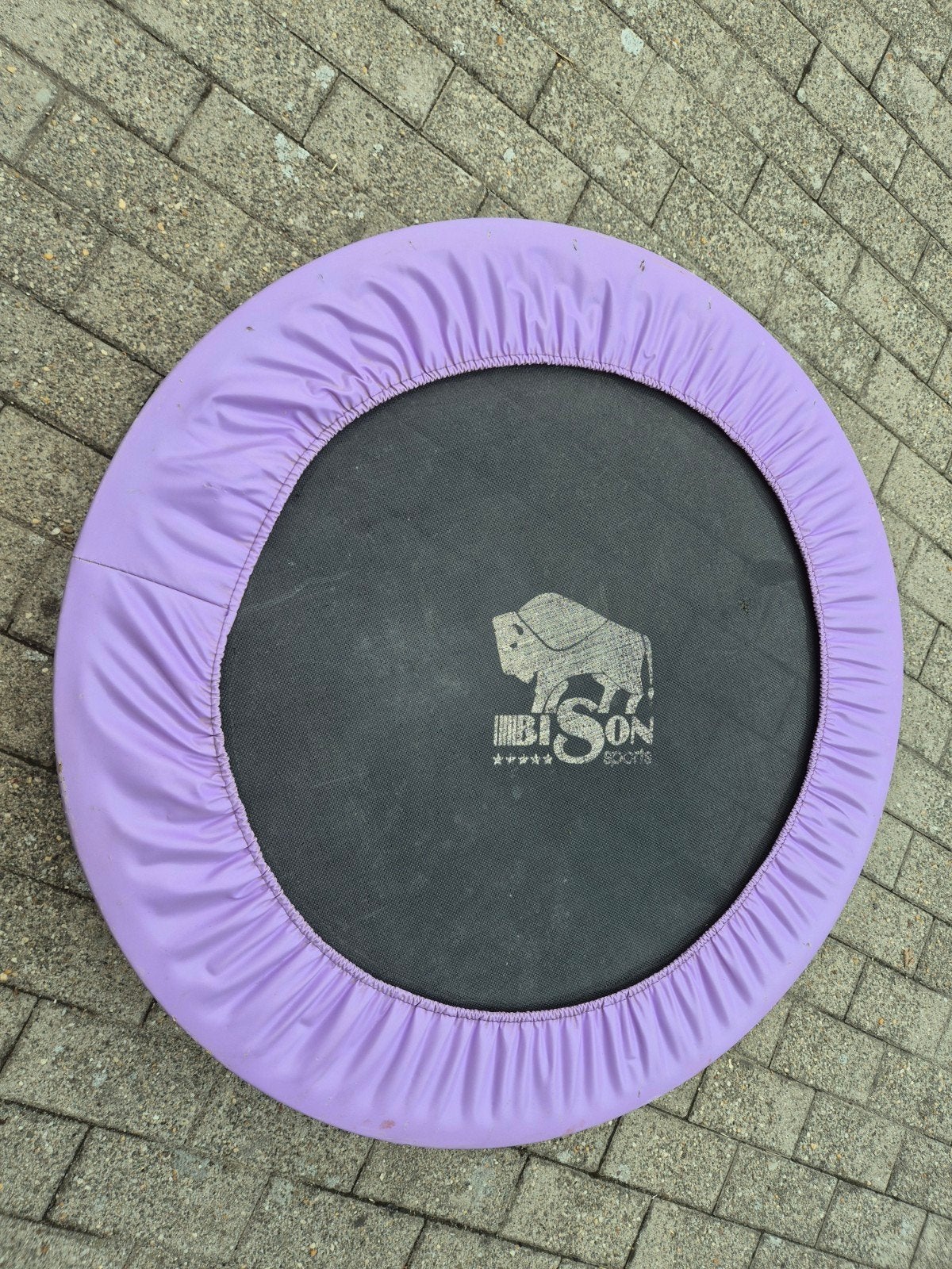 Mini-trampoline Bison, Enfants & Bébés, Enlèvement, Comme neuf