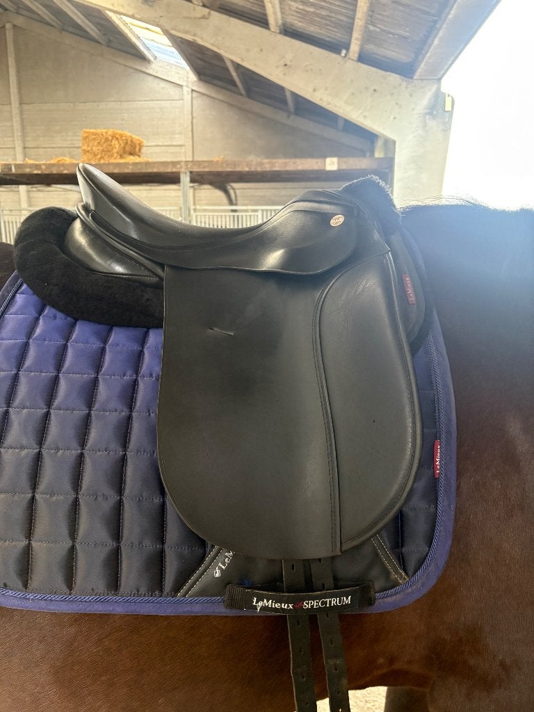 Dressuurzadel, Dieren en Toebehoren, Ophalen, L (17.5 inch), Dressuur, Diepe zit