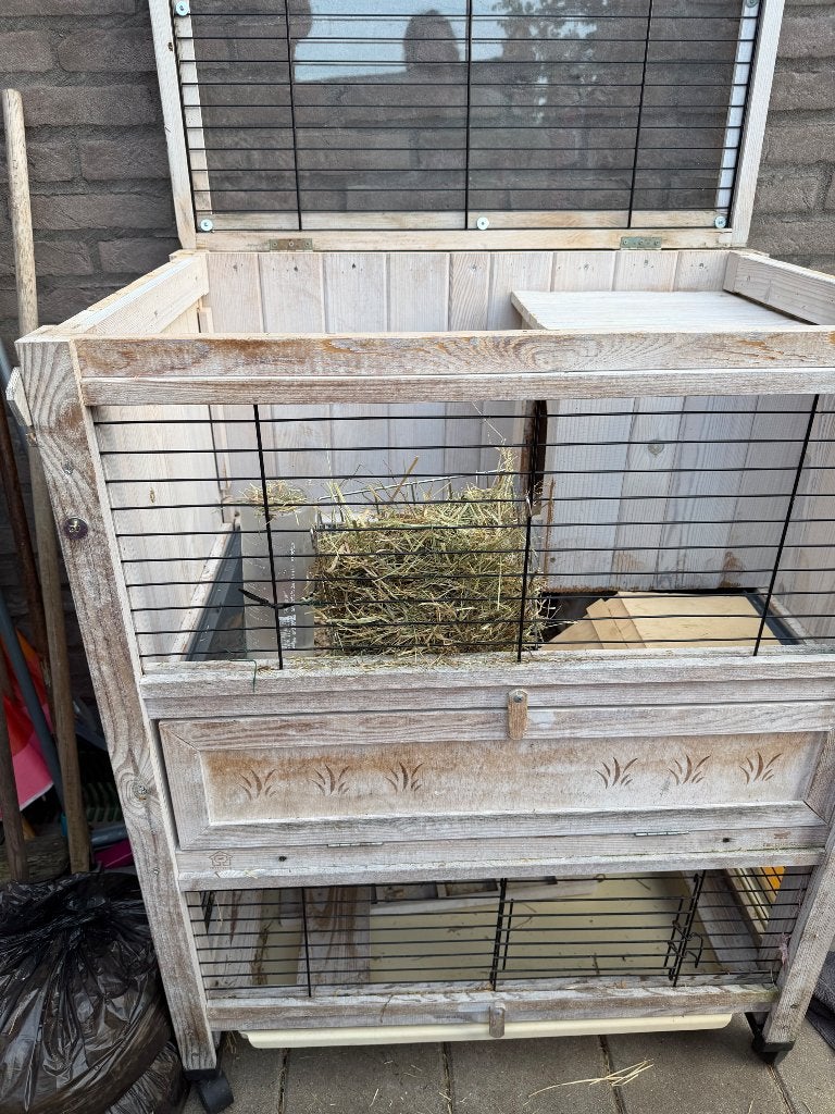 2 cavia met kooi en hun schuilplaats, Dieren en Toebehoren, Ophalen, Nieuw, Hout