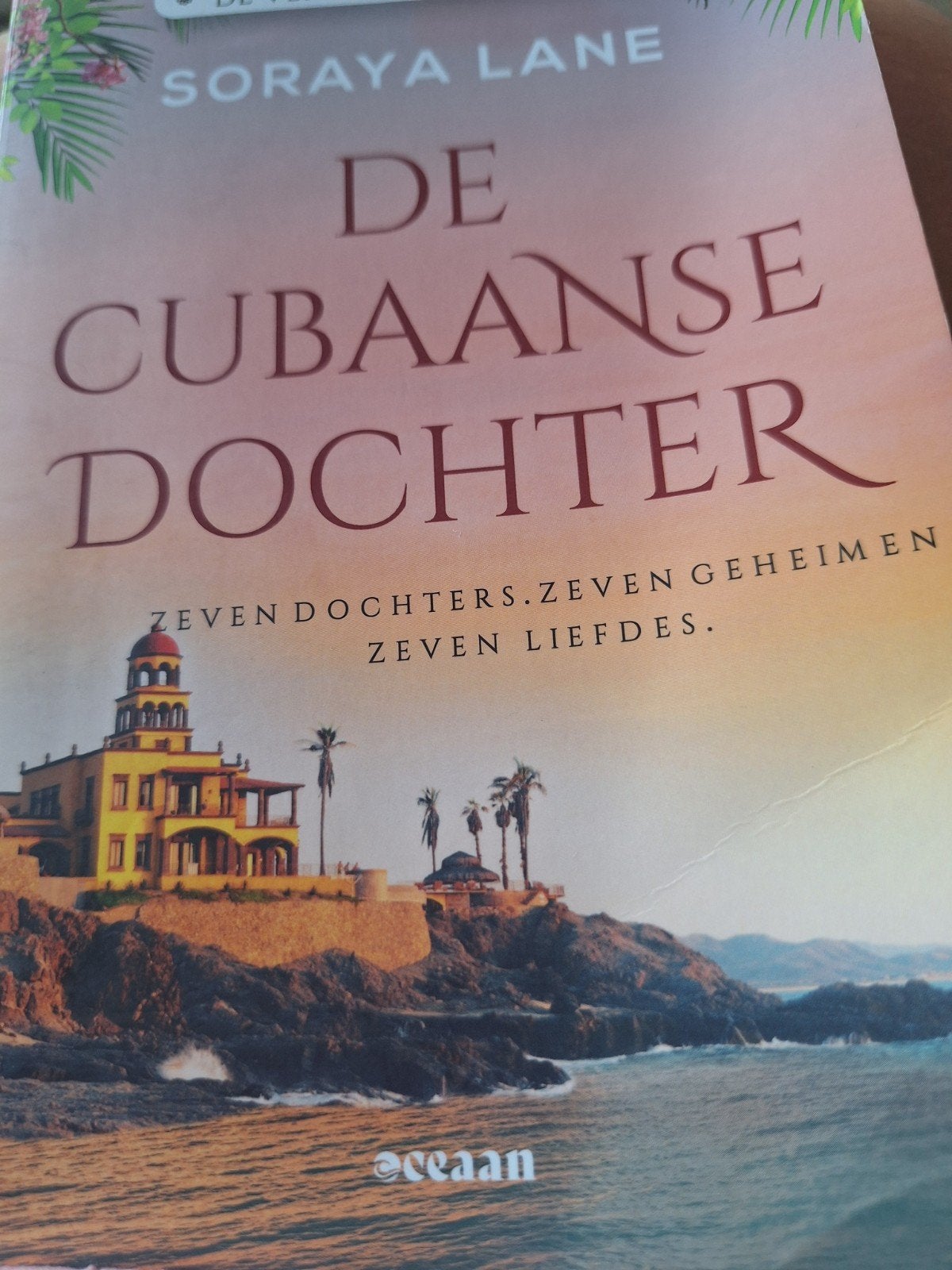 De Cubaanse dochter, Soraya Lane, Boeken, Ophalen