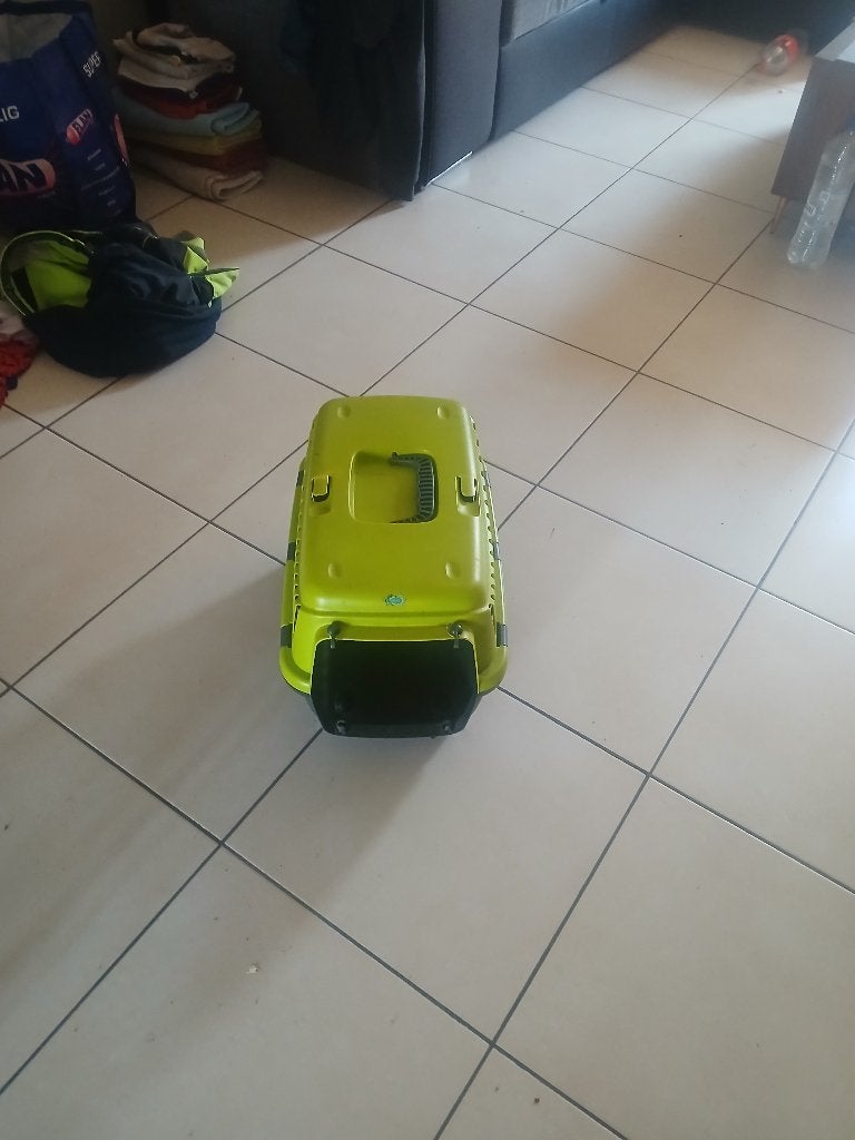 Katten, Dieren en Toebehoren, Ophalen, Gebruikt