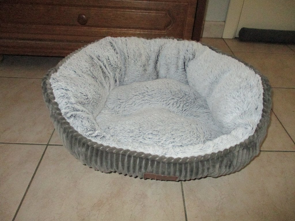 mand voor hond of kat, Animaux & Accessoires, Autres accessoires pour animaux, Enlèvement ou Envoi, Comme neuf