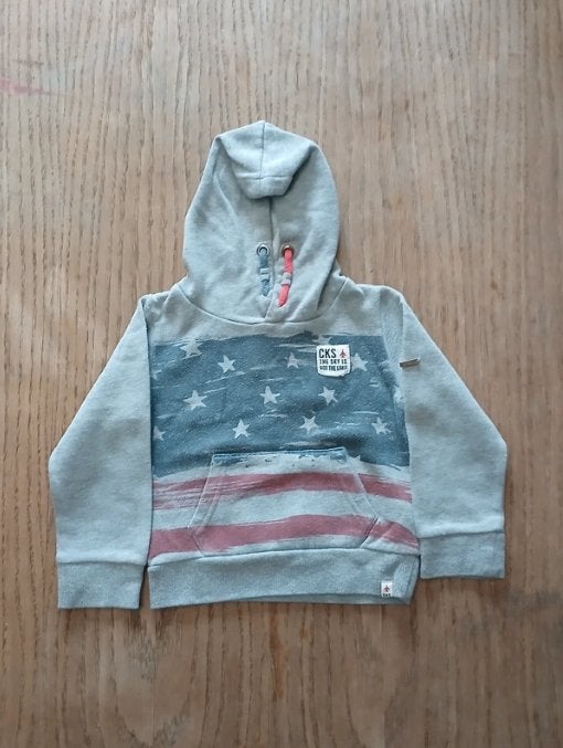 CKS Stoere Grijze Hoodie met Print & Patch (Maat 98 / 3 jr), Garçon, Enlèvement ou Envoi, Pull ou Veste, Cks