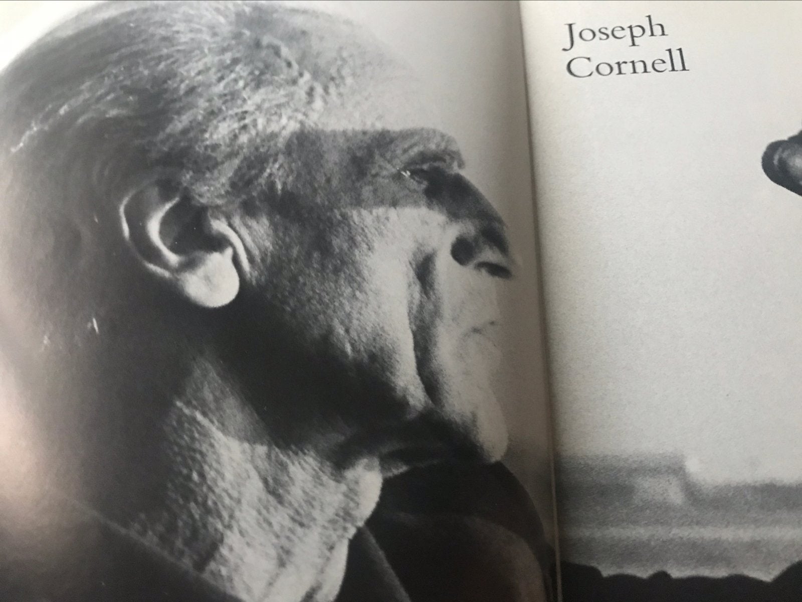 Assemblages de sculptures de Joseph Cornell 120 pages, Enlèvement ou Envoi, Comme neuf, Sculpture