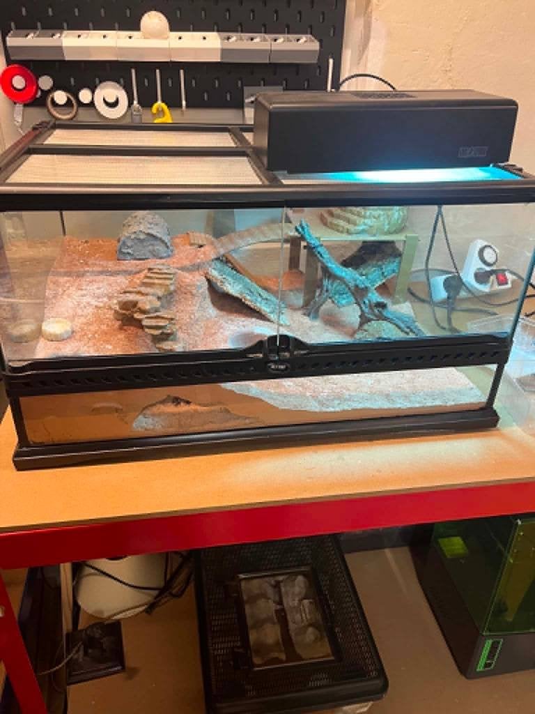 Terrarium Exo Terra, Enlèvement, Utilisé, Terrarium ou Paludarium