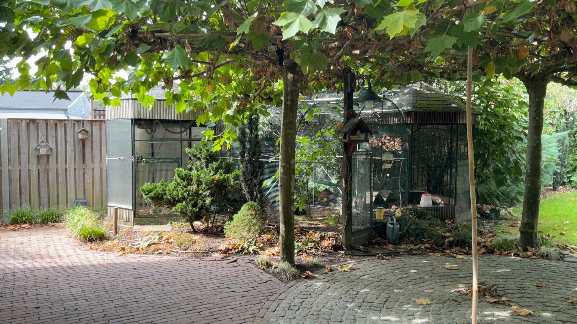 Voliere, Dieren en Toebehoren, Ophalen, Volière