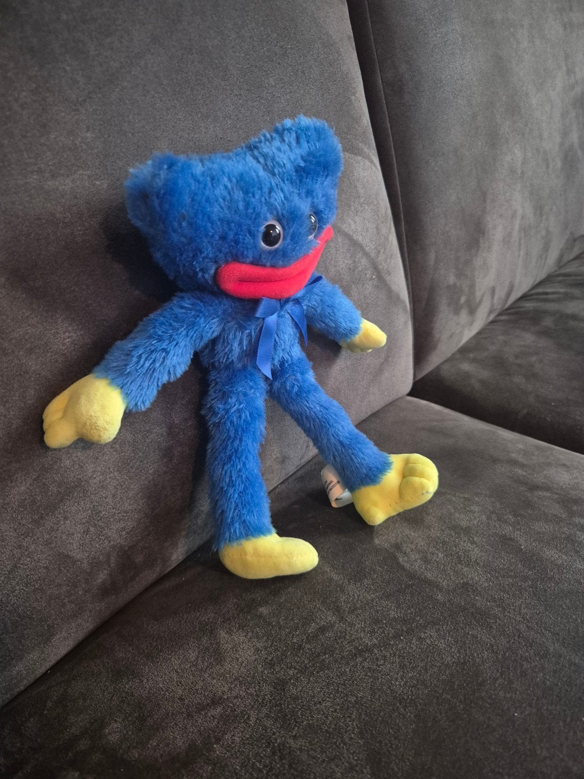 Peluche Huggy Wuggy — Poppy Playtime

Peluche Huggy Wuggy en, Enlèvement