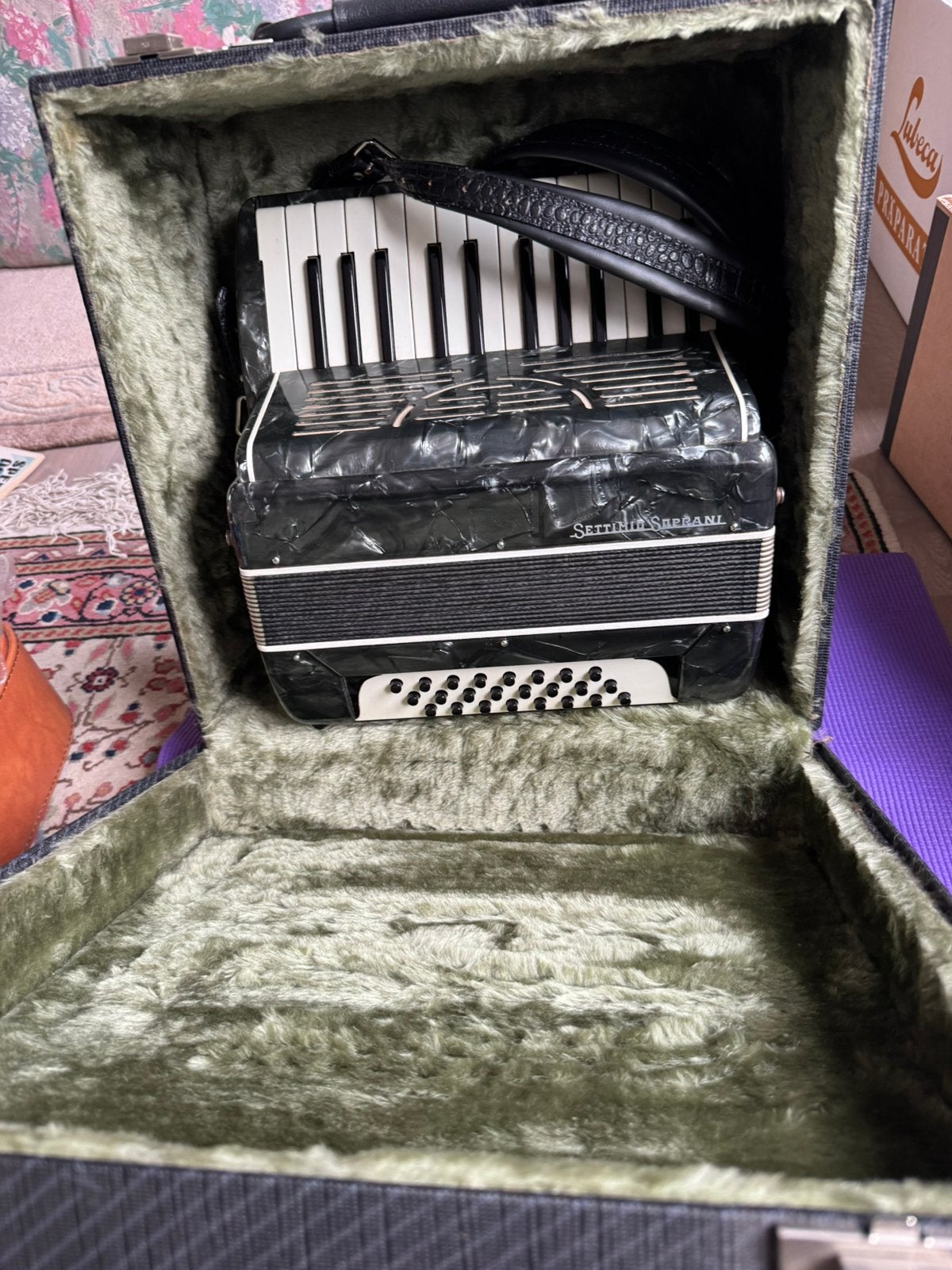Werkende Settimio Soprani Accordeon 24 Bassi Met Koffer, Enlèvement, Comme neuf