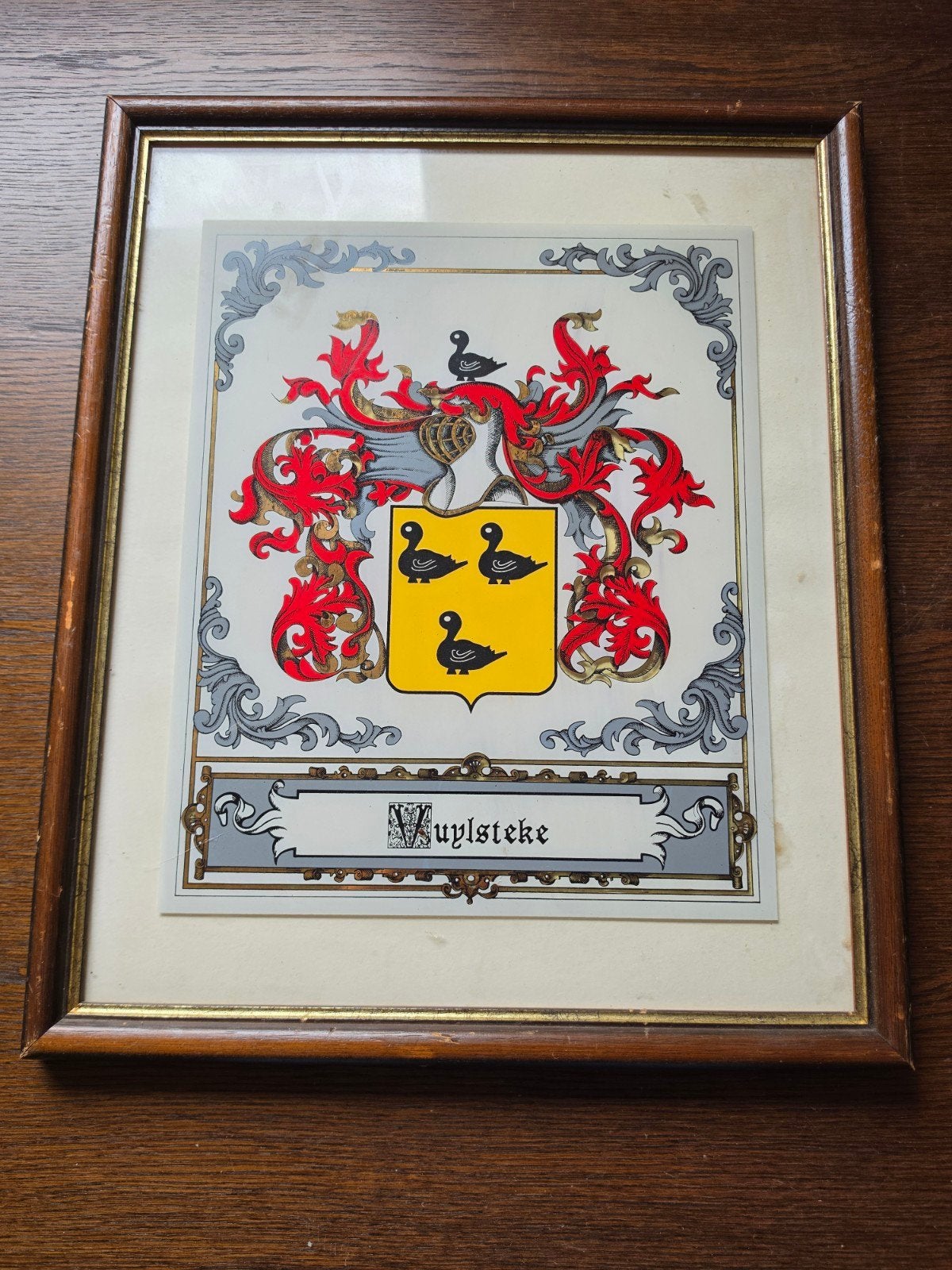 Vintage familiewapen Vuylsteke, Antiek en Kunst, Kunst | Litho's en Zeefdrukken, Ophalen of Verzenden