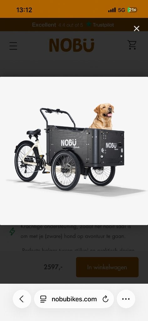 Bakfiets nobu, Fietsen en Brommers, Ophalen