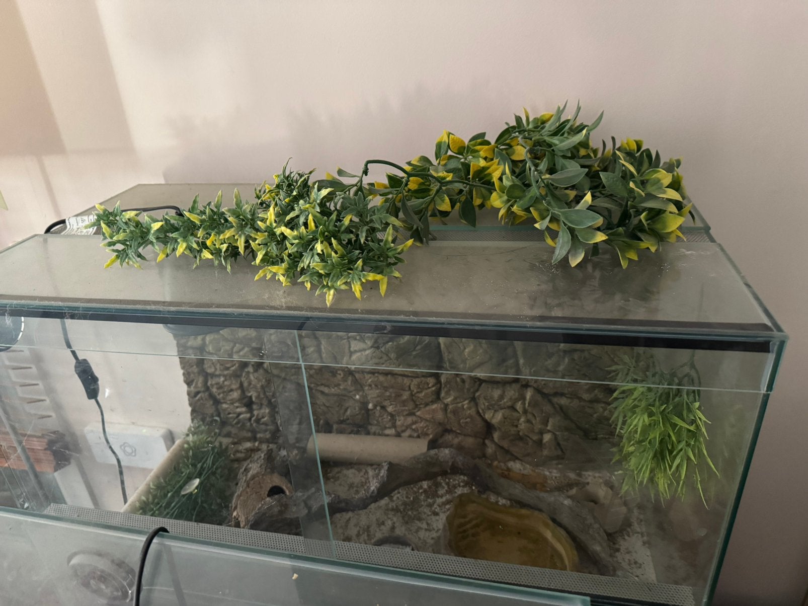 Terrarium 4 stuks, Dieren en Toebehoren, Ophalen, Gebruikt, Tak, Plant, Rots of Steen
