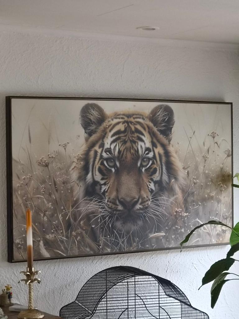 Beau cadre en forme de tigre à vendre, Enlèvement