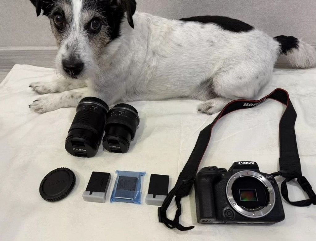 Canon EOS R10 + 2 lenzen, Audio, Tv en Foto, Fotocamera's Digitaal, Screenprotector, Canon, Ophalen of Verzenden, Zo goed als nieuw
