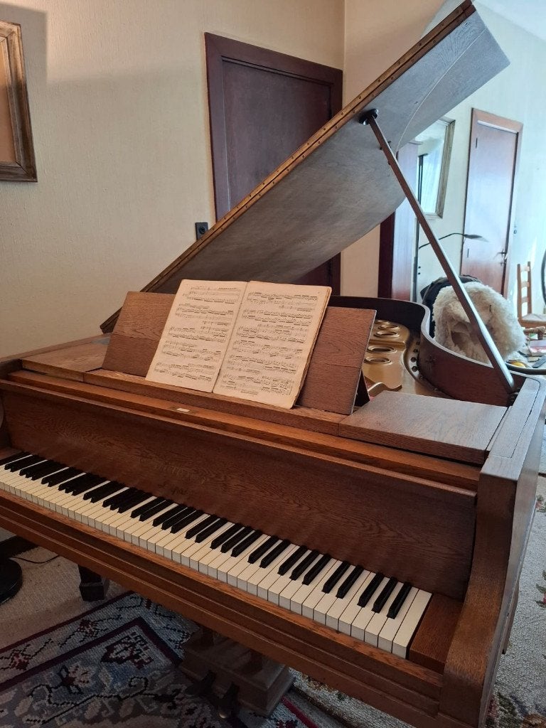 Blüthner vleugel 190 cm – 1910 – eik – serienr. 81864, Musique & Instruments, Enlèvement, Utilisé, Brun, À queue