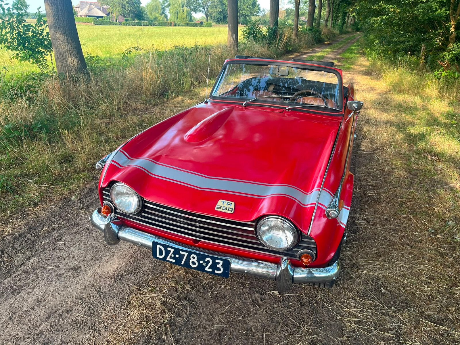 Triumph Tr250 / 1968 / gereviseerde motor, foto 2