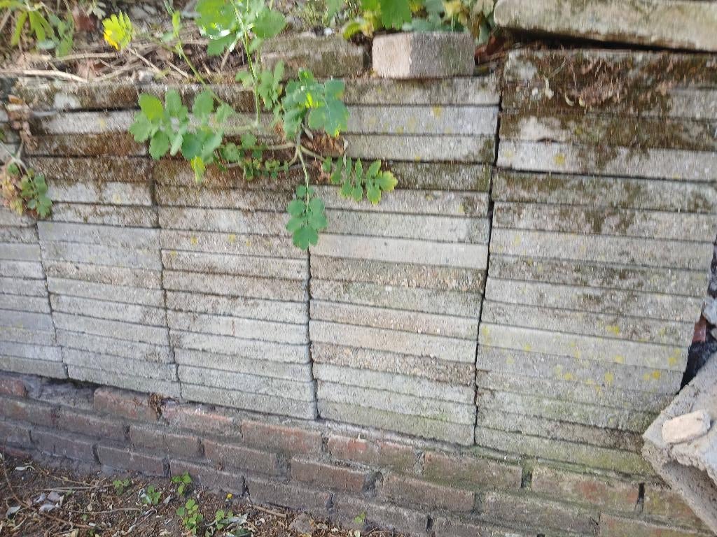 Gratis dals, Tuin en Terras, Ophalen, Gebruikt, Beton, Overige typen