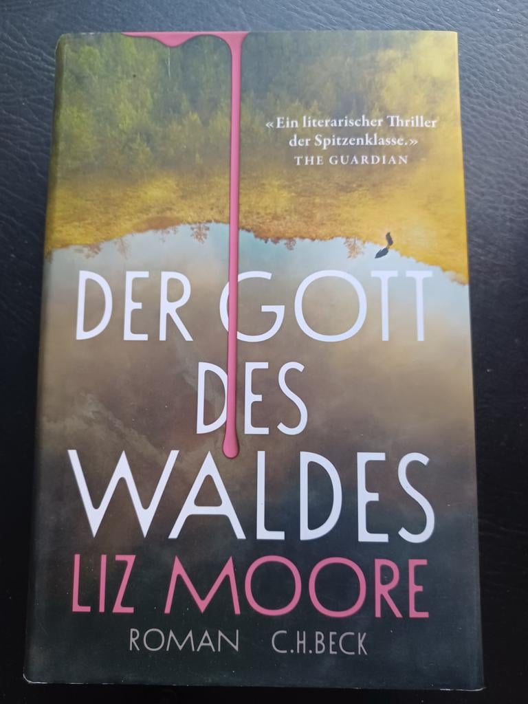 Liz Moore lieraire thriller Duits, Ophalen of Verzenden