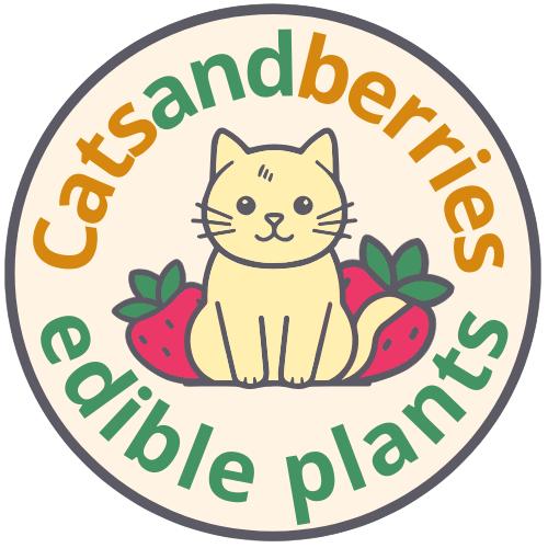 Fraises et framboises rares, Jardin & Terrasse, Plantes | Jardin, Envoi